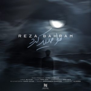 مرا صید کرد – رضا بهرام